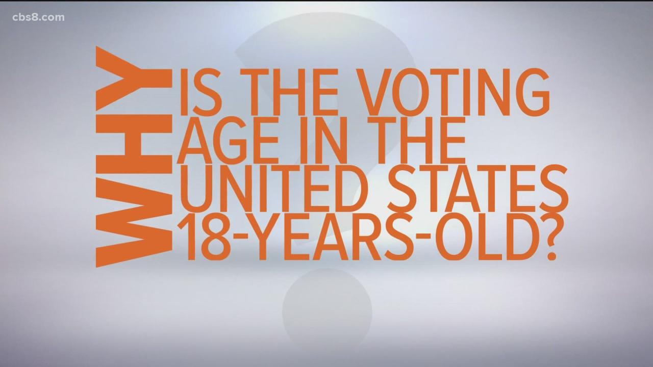 Why should the voting age stay at 18