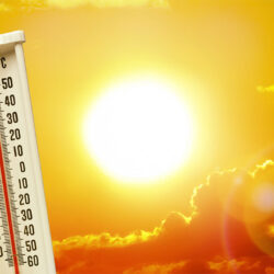 Community resources available to help elderly neighbors during heat waves