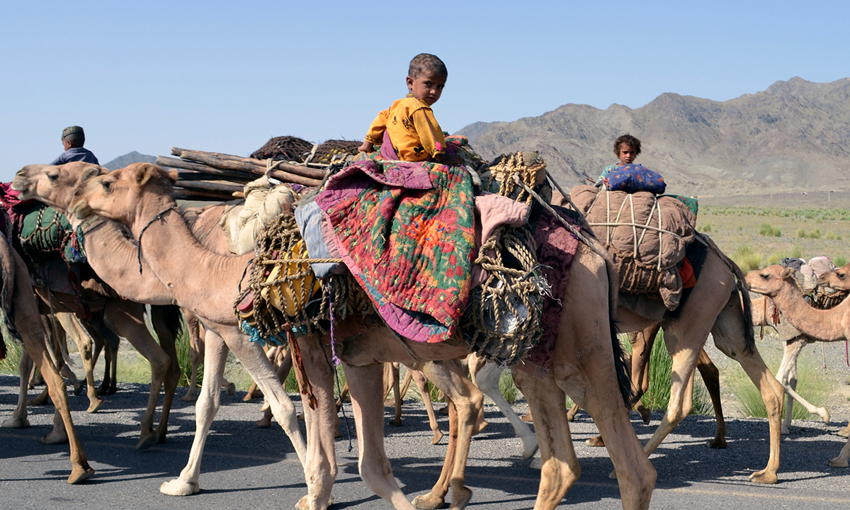 Nomadic person who lives out of a vehicle crossword