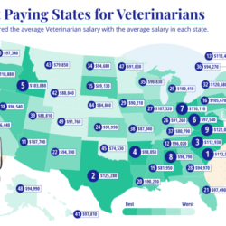 How much does a veterinarian make an hour in ohio