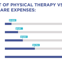 How much does physical therapist make a year