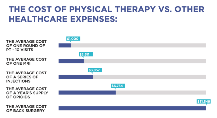 How much does physical therapist make a year