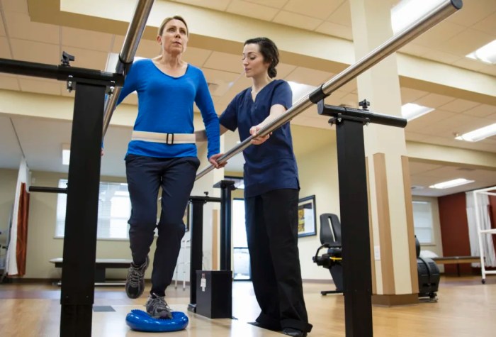 How much does a physical therapist make in florida