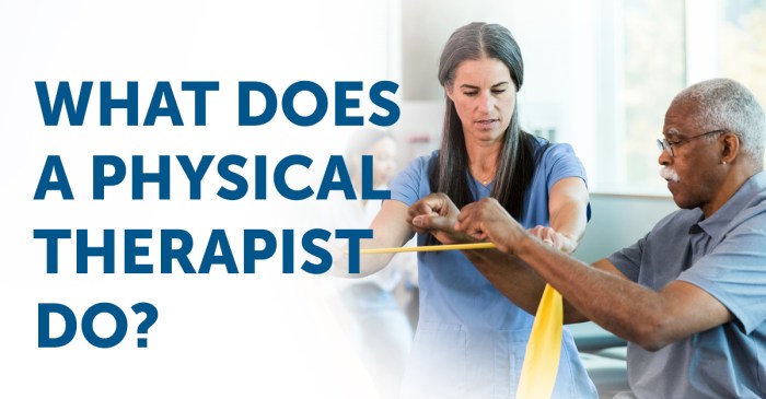 What does a physical therapist make