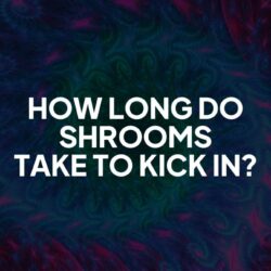 How long does it take shrooms to kick in