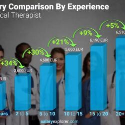 How much does a physical therapist make per hour