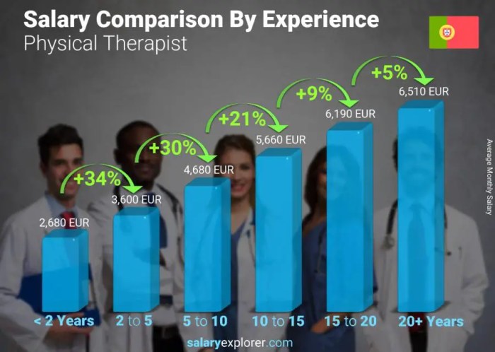 How much does a physical therapist make per hour