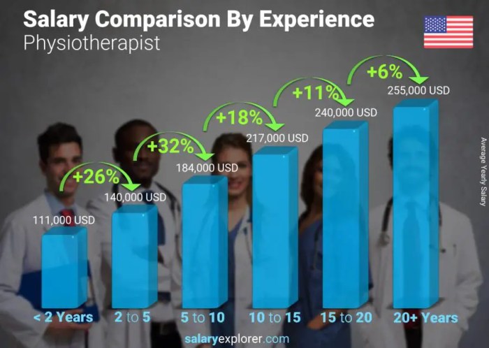 How much money does a physical therapist make a year